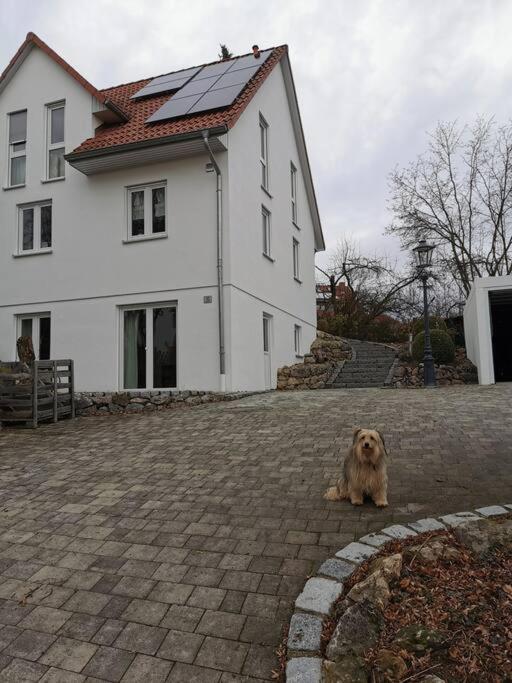 RAuszeit Apartment Nittendorf Bagian luar foto